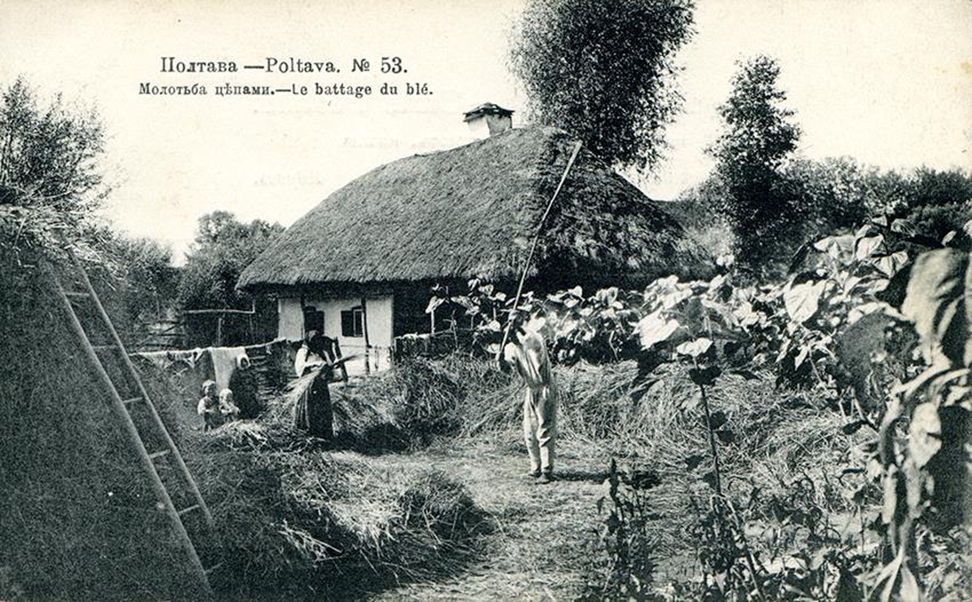 Полтавская губерния. Село Диканька 19 век. Диканька Малороссия. Фото Полтавской губернии. Диканька старые фото.